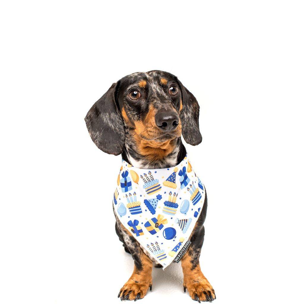 Big and Litte Dogs Bandana Happy Bark Day Boy - Premium Hondenkleding > bandana from Big and Little Dogs - Just €9.99! Shop now at Frenkiezdogshop