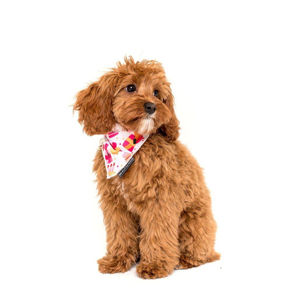 Big and Litte Dogs Bandana Happy Bark Day Girl ( ALLEEN M/L ) - Premium Hondenkleding > bandana from Big and Little Dogs - Just €8.99! Shop now at Frenkiezdogshop