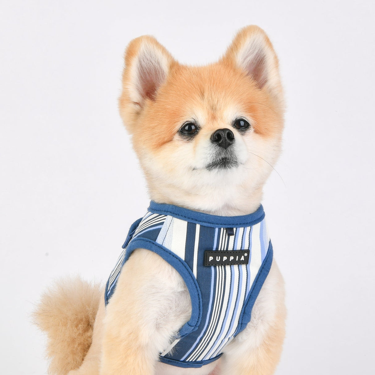 Puppia Caiden Harness model B Blue - Premium hondentuig > honden harnas from Puppia - Just €26.99! Shop now at Frenkiezdogshop