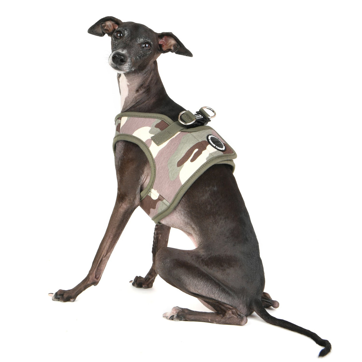 Puppia Lance Harness model B Camo ( Small ) - Premium hondentuig > honden harnas from Puppia - Just €29.99! Shop now at Frenkiezdogshop