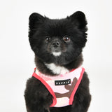 Puppia Lance Harness model B Pink Camo - Premium hondentuig > honden harnas from Puppia - Just €29.99! Shop now at Frenkiezdogshop