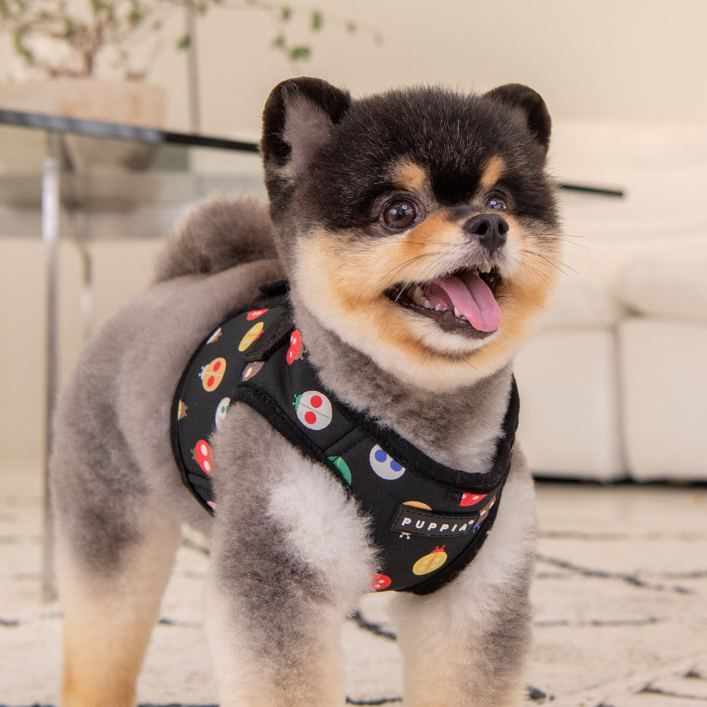 Puppia Lady Beetle Vest Harness model B Black - Premium hondentuig > honden harnas from Puppia - Just €32.99! Shop now at Frenkiezdogshop