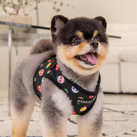 Puppia Lady Beetle Vest Harness model B Black hondentuig > honden harnas > model B Small