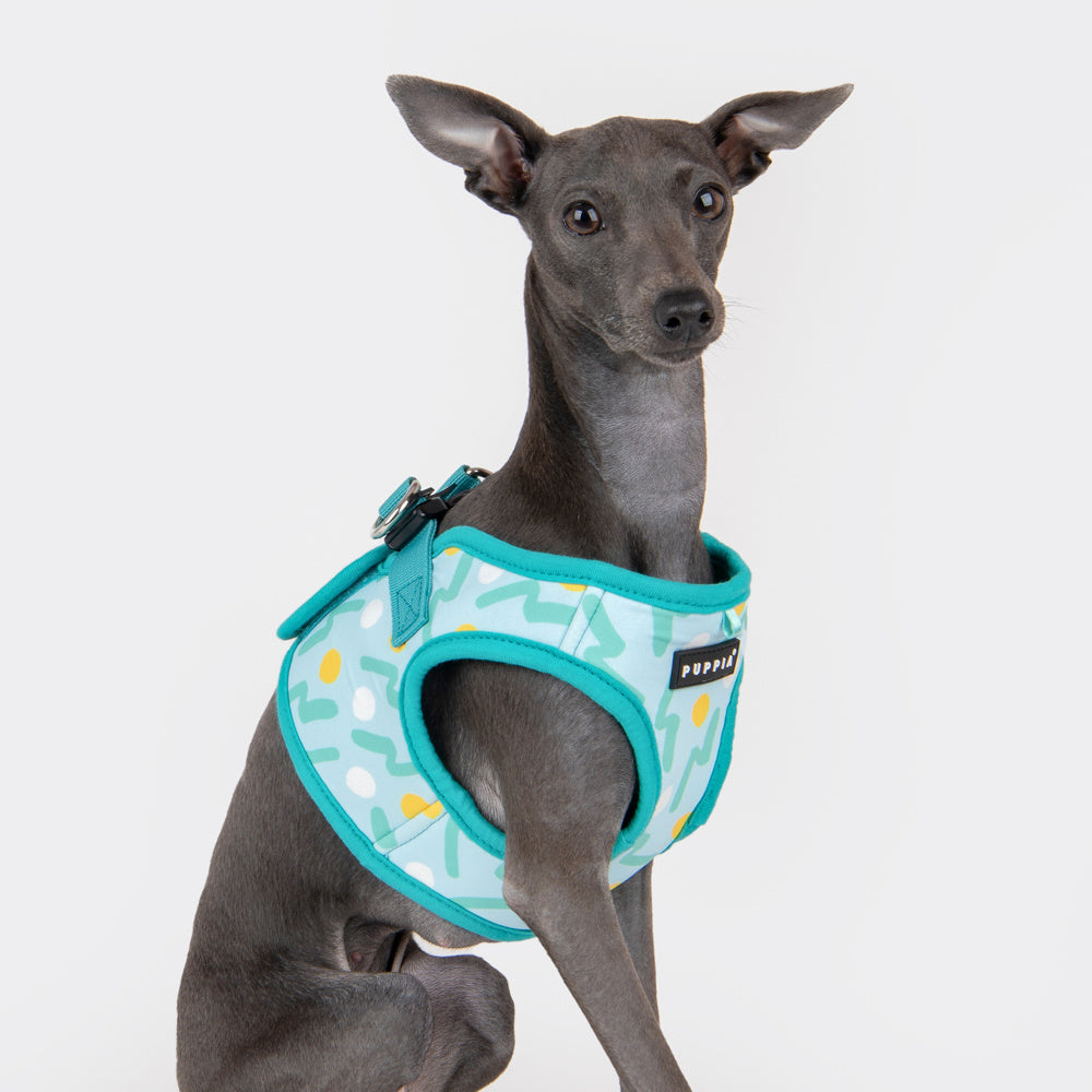 Puppia Fete  Vest Harness model B Aqua - Premium hondentuig > honden harnas from Puppia - Just €26.99! Shop now at Frenkiezdogshop