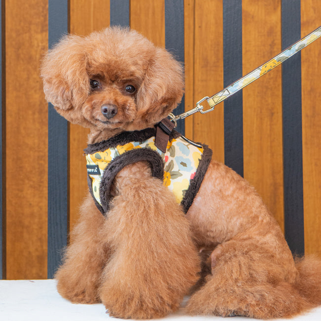 Puppia Alyssa Vest Harness model B Brown - Premium hondentuig > honden harnas from Puppia - Just €31.99! Shop now at Frenkiezdogshop