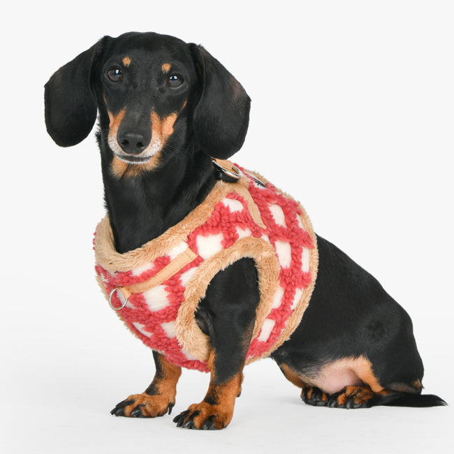 Puppia Stefan Vest Harness model B Coral - Premium hondentuig > honden harnas from Puppia - Just €33.99! Shop now at Frenkiezdogshop