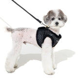 Puppia Douglas Vest Harness B Black