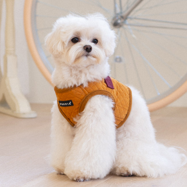 Puppia Irvin Vest Harness B Mustard