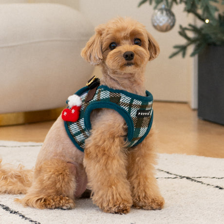 Puppia Festive Vest Harness B Green - Premium hondentuig > honden harnas from Puppia - Just €33.99! Shop now at Frenkiezdogshop