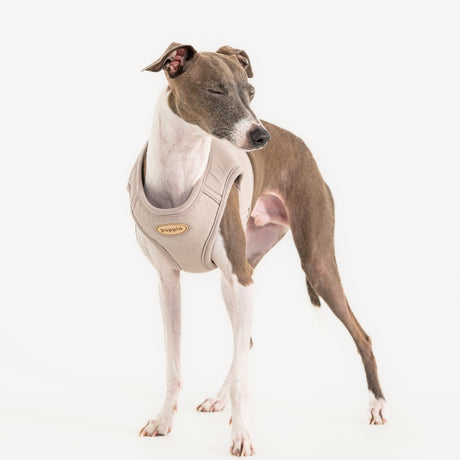 Puppia Recycled Eco Vest Harness B Beige hondentuig > honden harnas > model B Small