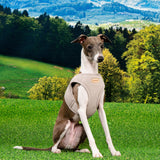Puppia Recycled Eco Vest Harness B Beige hondentuig > honden harnas > model B Small