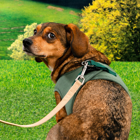 Puppia Recycled Eco Vest Harness B Khaki hondentuig > honden harnas > model B Small