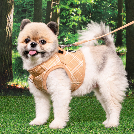Puppia Corwin Vest Harness model B Beige hondentuig > honden harnas > model B Small