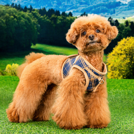 Puppia Corwin Vest Harness model B Navy hondentuig > honden harnas > model B Small