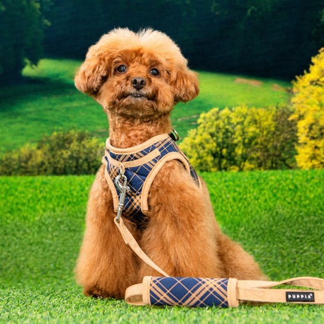 Puppia Corwin Vest Harness model B Navy hondentuig > honden harnas > model B Small