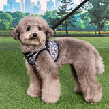 Puppia Cynthia Vest Harness model B Black hondentuig > honden harnas > model B Small
