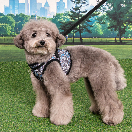 Puppia Cynthia Vest Harness model B Black hondentuig > honden harnas > model B Small