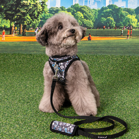 Puppia Cynthia Vest Harness model B Black hondentuig > honden harnas > model B Small