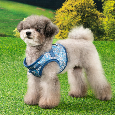 Puppia Cynthia Vest Harness model B Blue hondentuig > honden harnas > model B Small