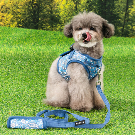 Puppia Cynthia Vest Harness model B Blue hondentuig > honden harnas > model B Small