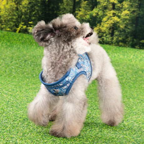 Puppia Cynthia Vest Harness model B Blue hondentuig > honden harnas > model B Small