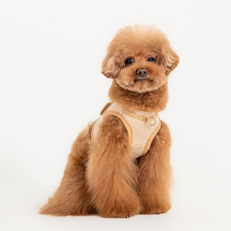 Puppia Amatus Vest Harness model B Beige hondentuig > honden harnas > model B Small