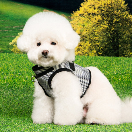 Puppia Amatus Vest Harness model B Black hondentuig > honden harnas > model B Small