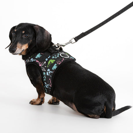 Puppia Connor Vest Harness Model B Black
