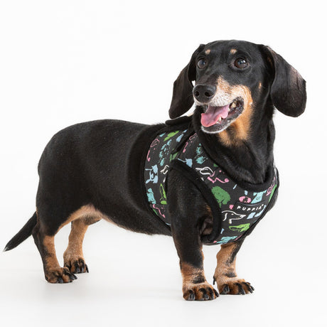 Puppia Connor Vest Harness Model B Black