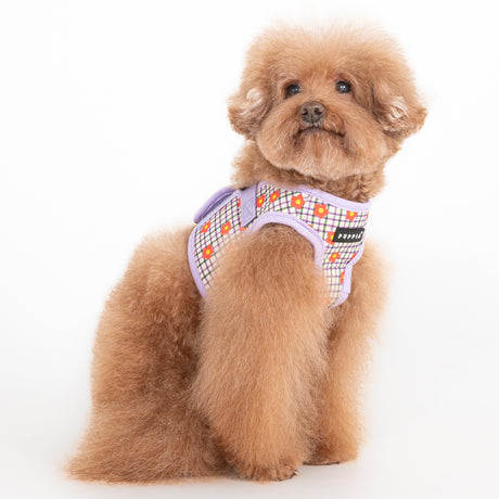 Puppia Westley Vest Harness Model B Violet