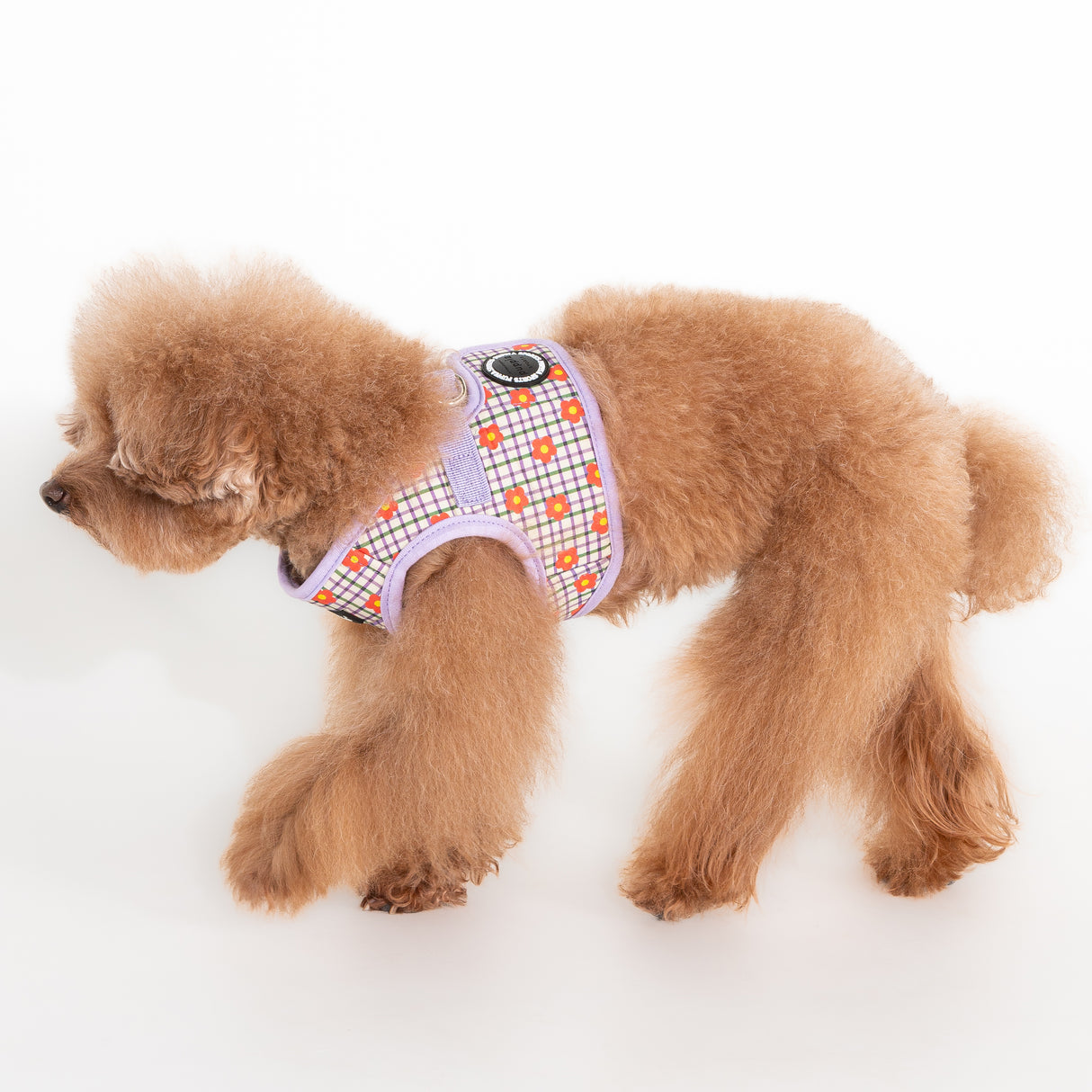 Puppia Westley Vest Harness Model B Violet
