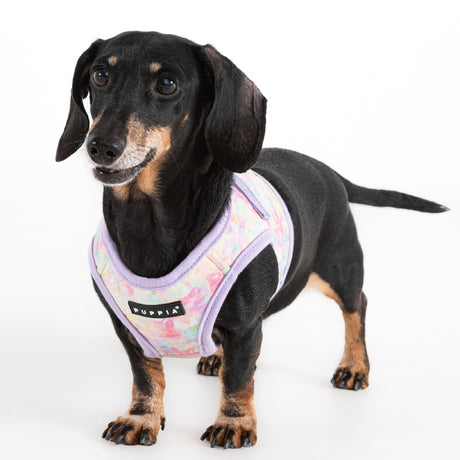 Puppia Nola Vest Harness Model B Violet
