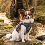 Puppia Adonissa Vest Harness Model B - Navy