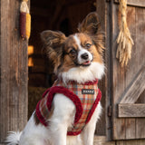 Puppia Adonissa Vest Harness Model B - Wine