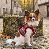 Puppia Adonissa Vest Harness Model B - Wine