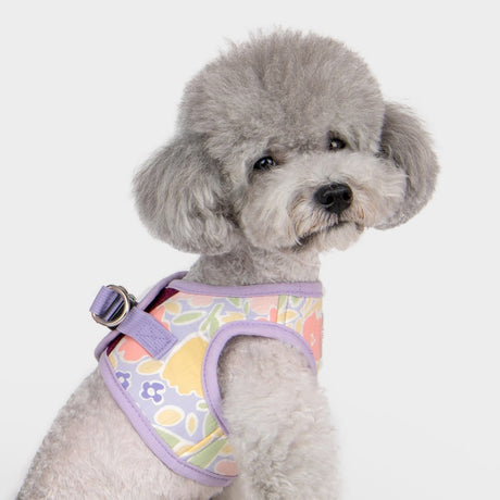 Pinkaholic Evanthe Vest Harness Purple hondentuig > honden harnas > model B Small