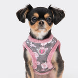 Pinkaholic Calla Vest Harness Grey - Premium hondentuig > honden harnas from Pinkaholic - Just €31.99! Shop now at Frenkiezdogshop