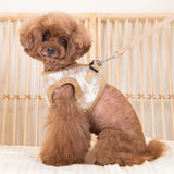 Pinkaholic Chyanne Vest Harness Beige - Premium hondentuig > honden harnas from Pinkaholic - Just €31.99! Shop now at Frenkiezdogshop