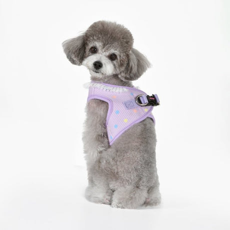 Pinkaholic Priya Vest Harness Violet hondentuig > honden harnas > model B Small
