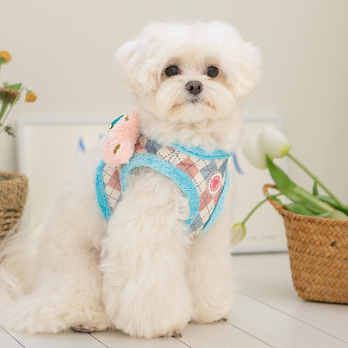 Pinkaholic Annika Vest Harness Aqua - Premium hondentuig > honden harnas from Pinkaholic - Just €31.99! Shop now at Frenkiezdogshop