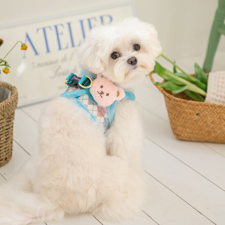 Pinkaholic Annika Vest Harness Aqua hondentuig > honden harnas > model B Small