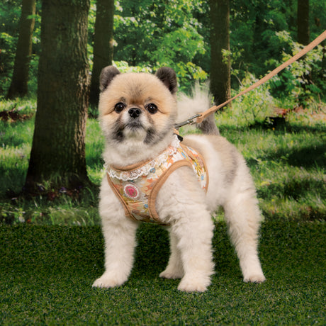 Pinkaholic Lilibeth vest Harness Beige hondentuig > honden harnas > model B Small