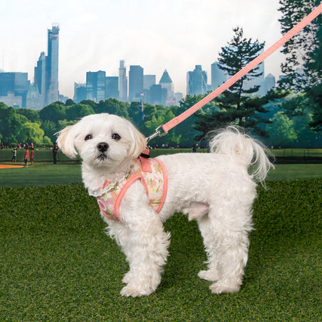 Pinkaholic Lilibeth vest Harness Indian Pink hondentuig > honden harnas > model B Small