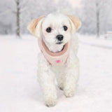 Pinkaholic Itzel Vest Harnas Model B - Beige hondentuig > honden harnas > model B Small