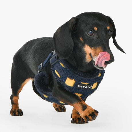 Puppia Stefan Harness Model C Navy hondentuig > honden harnas > model C Small