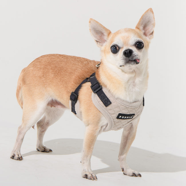 Puppia Irvin Harness Model C Cream - Premium hondentuig > honden harnas from Puppia - Just €29.99! Shop now at Frenkiezdogshop