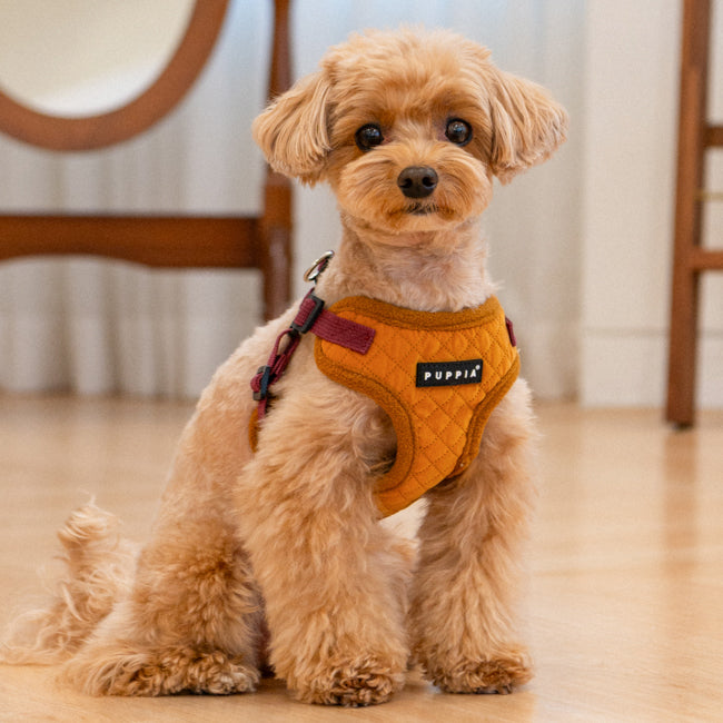 Puppia Irvin Harness Model C Mustard - Premium hondentuig > honden harnas from Puppia - Just €29.99! Shop now at Frenkiezdogshop