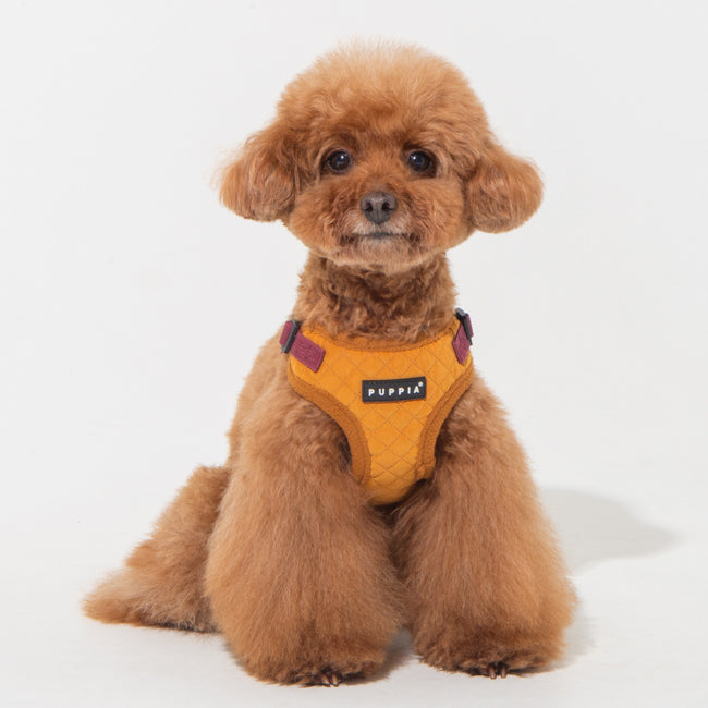 Puppia Irvin Harness Model C Mustard - Premium hondentuig > honden harnas from Puppia - Just €29.99! Shop now at Frenkiezdogshop