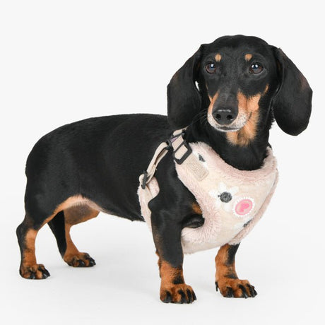 Pinkaholic Nanala Comfort Harness model C beige hondentuig > honden harnas > model C Small