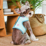 Pinkaholic Alaia Pinka Harness Aqua - Premium hondentuig > honden harnas from Pinkaholic - Just €29.99! Shop now at Frenkiezdogshop